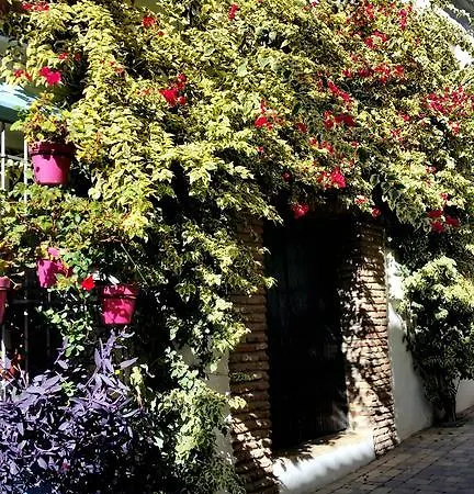 Appartement Apartamentomirada Estepona