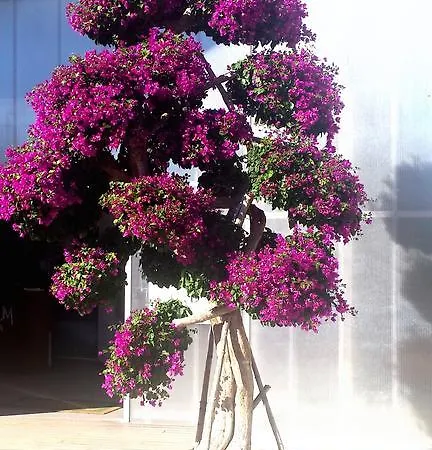 Apartman Apartamentomirada