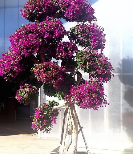 Apartament Apartamentomirada