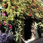 Διαμέρισμα Apartamentomirada Εστεπόνα